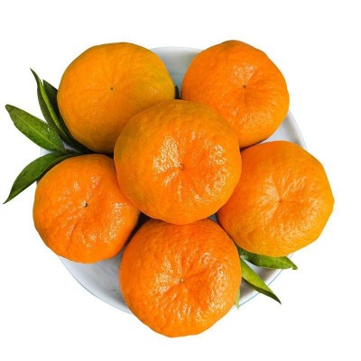 【好吃不上火】湖北当季现摘高山碰柑芦柑酸甜多汁孕妇水果批发图5