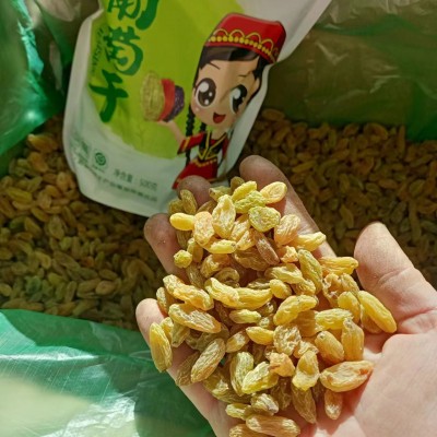 新疆葡萄干500g装年货礼品葡萄干 批发零食葡萄干 2袋