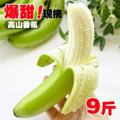 广西威尼斯高山甜香蕉青绿皮自然熟新鲜当季孕妇水果根摘广西产地