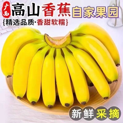 广西威尼斯高山甜香蕉青绿皮自然熟新鲜当季孕妇水果根摘广西产地图4
