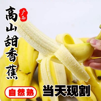 广西威尼斯高山甜香蕉青绿皮自然熟新鲜当季孕妇水果根摘广西产地图5