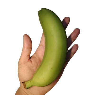 广西高山单根香蕉时令水果无催化剂青皮发需留熟香高山产地香甜图5