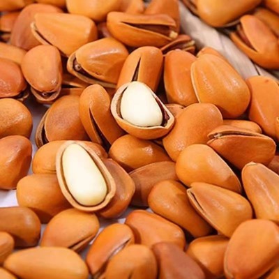 【长白山红松子】2025新货开口东北松子500g含包装坚果松籽仁红松 1斤图2