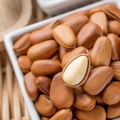 【长白山红松子】2025新货开口东北松子500g含包装坚果松籽仁红松 1斤图5