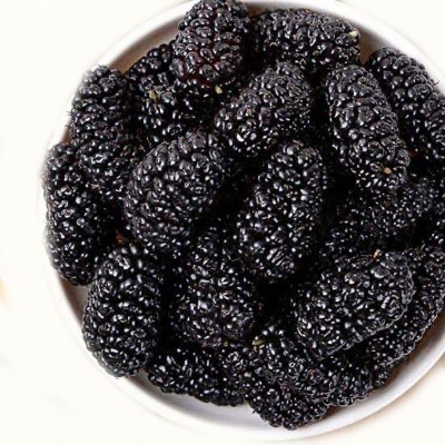 【代发】包邮批发果干 桑葚干袋装散装500g 泡水果茶熬粥黑桑葚干 1袋图5