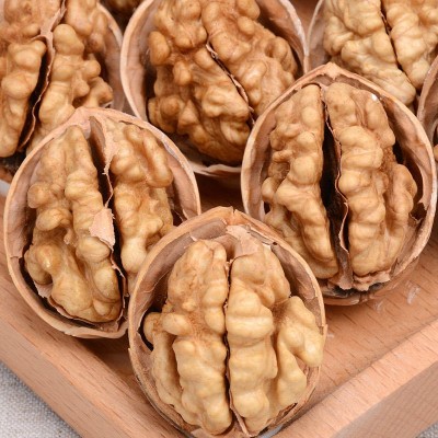 批发新疆特产核桃阿克苏薄皮核桃500g 新疆阿克苏薄皮核桃 1包图5