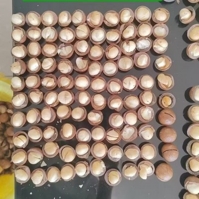 新货夏威夷果批发澳洲夏果仁白大颗粒奶油味夏威夷果箱装袋装跨境 10斤图2