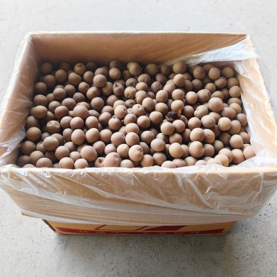 新货桂圆干批发越南龙眼干箱装20斤可跨境AA果干桂圆肉厚壳薄代发 10千克图2