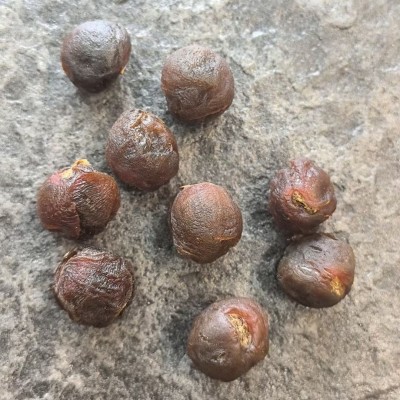 新货桂圆干批发越南龙眼干箱装20斤可跨境AA果干桂圆肉厚壳薄代发 10千克图4