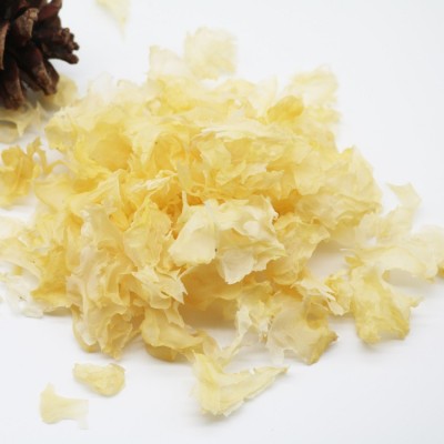 古田大花银耳碎批发白木耳碎片500g品质稳定碎1-3厘米 2件