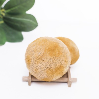 古田猴头菇食用菌产地批发猴头菇散装500g 2件图4