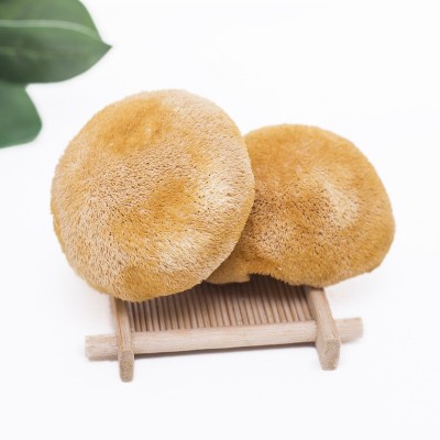 古田猴头菇食用菌产地批发猴头菇散装500g 2件图3