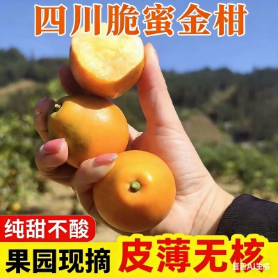 正宗第三代脆蜜金桔特大果新鲜水果整箱图3
