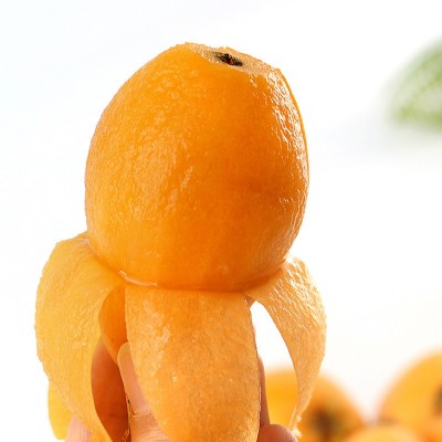 新鲜四川米易枇杷应季水果采摘高山五星一件代发特级整箱原味礼盒图4