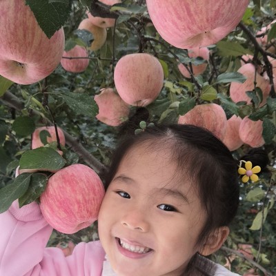 正宗烟台红富士苹果条纹片红3斤5斤9斤包邮栖霞烟台红富士礼盒图5