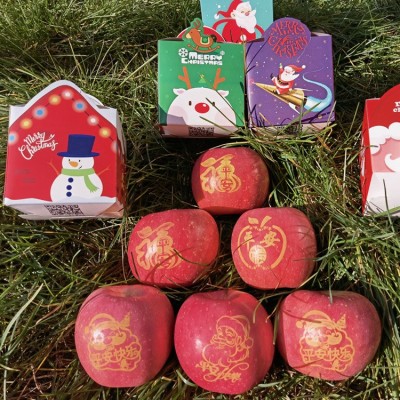 平安果印字苹果圣诞节平安夜新鲜栖霞红富士苹果 烟台红富士礼盒图2