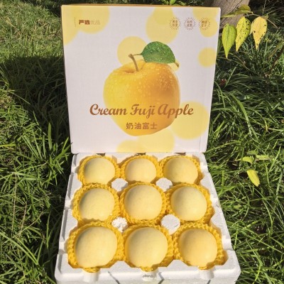 2025年栖霞黄金奶油苹果脆甜多汁一件代发烟台奶油富士礼盒苹果