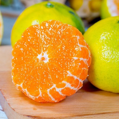 宜昌蜜桔无籽青皮蜜橘鲜酸甜薄皮源头产地直发批发供货源头直发图2