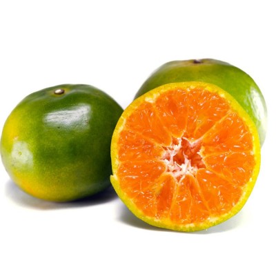 宜昌蜜桔无籽青皮蜜橘鲜酸甜薄皮源头产地直发批发供货源头直发图4