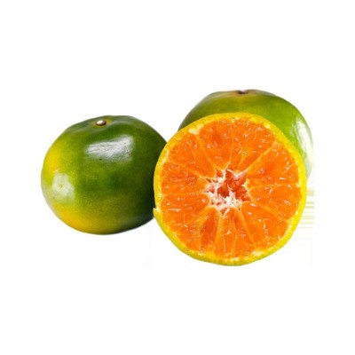 宜昌蜜桔无籽青皮蜜橘鲜酸甜薄皮源头产地直发批发供货源头直发图5