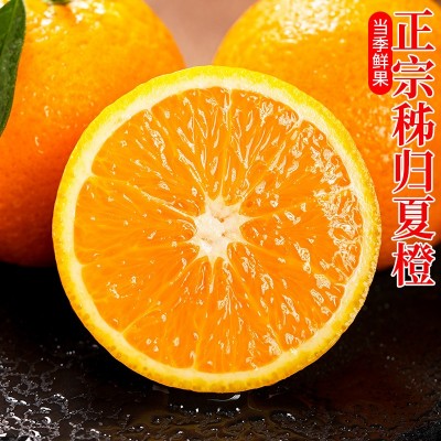 纽荷尔脐橙秭归脐橙果冻橙当季时令水果整箱包邮鲜果橙子榨汁