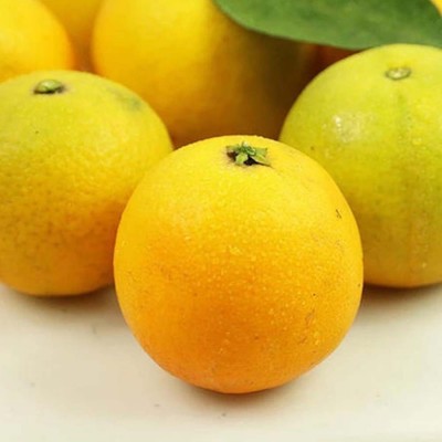 纽荷尔脐橙秭归脐橙果冻橙当季时令水果整箱包邮鲜果橙子榨汁图4