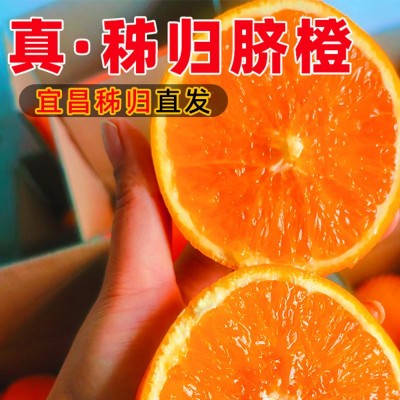 纽荷尔脐橙3/5/9斤装榨汁新鲜水果秭归脐橙橙子产地直供图4