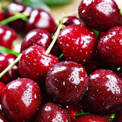 智力新鲜车厘子黑车大樱桃孕妇应季水果脆甜多汁原箱礼盒批发代发