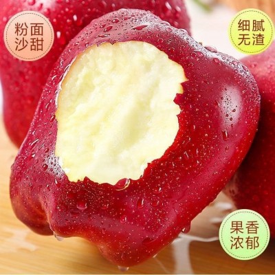 甘肃天水花牛苹果原产地可脆可粉一果两吃可刮泥花牛苹果整箱包邮图3