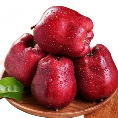 甘肃天水花牛苹果原产地可脆可粉一果两吃可刮泥花牛苹果整箱包邮图5