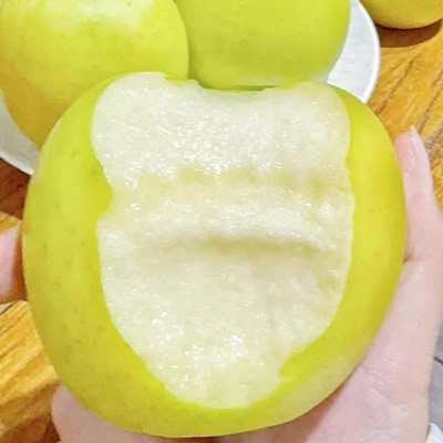 现摘陕西白水瑞雪苹果高端青苹果带玫瑰香当季新鲜脆甜孕妇水果图4