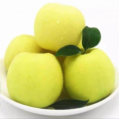 现摘陕西白水瑞雪苹果高端青苹果带玫瑰香当季新鲜脆甜孕妇水果图5