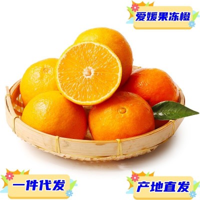 现货一件代发四川爱媛果冻橙38号供应电商平台支持全平台出单图2