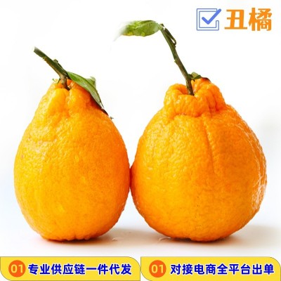 对接电商一件代发四川不知火丑橘柑橘供应各大平台当季时令新鲜