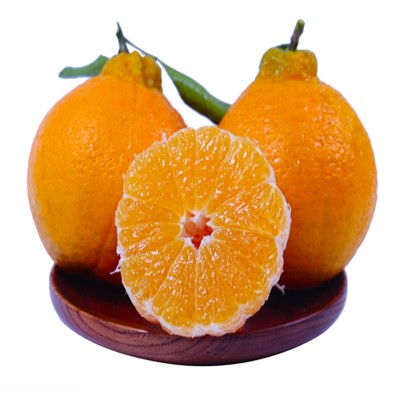 对接电商一件代发四川不知火丑橘柑橘供应各大平台当季时令新鲜图5