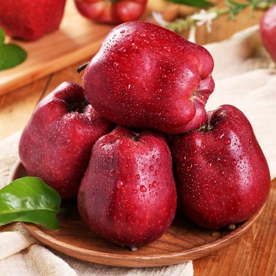 甘肃天水花牛苹果新鲜应当季水果宝宝辅食蛇果香甜粉整箱10斤包邮图2