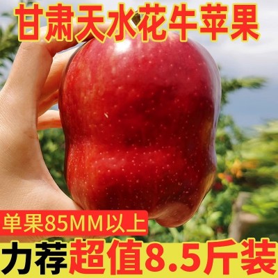 甘肃天水花牛苹果新鲜应当季水果宝宝辅食蛇果香甜粉整箱10斤包邮
