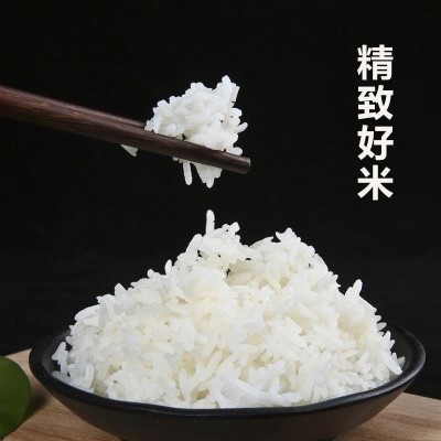 正宗猫牙米长寿乡农家丝苗米长粒香米煲仔饭专用米2025年新米籼米图5