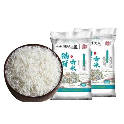正宗猫牙米长寿乡农家丝苗米长粒香米煲仔饭专用米2025年新米籼米图4