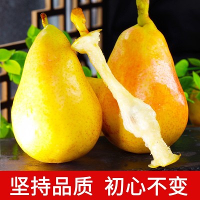 太婆梨10斤新鲜水果当季整箱包邮香蕉梨东北茄梨大头梨子时令包邮图4