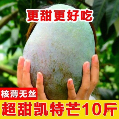 四川攀枝花凯芒果10斤新鲜应季水果大青忙果整箱批发顺丰包邮