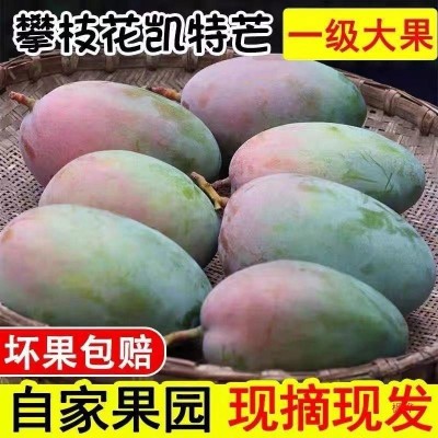 四川攀枝花凯芒果10斤新鲜应季水果大青忙果整箱批发顺丰包邮图2