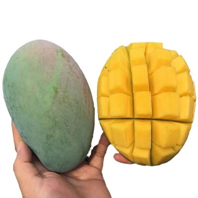 四川攀枝花凯芒果10斤新鲜应季水果大青忙果整箱批发顺丰包邮图4