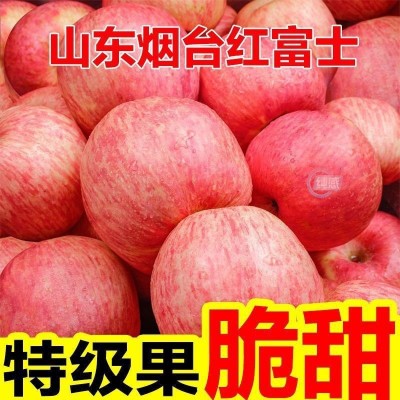 包邮10冰糖平萍果斤红富士苹果水果新鲜栖霞心丑当季烟台整箱山东图2