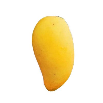 海南金煌芒新鲜水仙芒果斤装整箱薄皮当季孕妇水果果园直发包邮图4