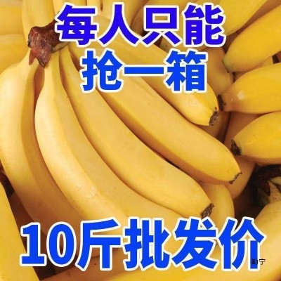 W10斤高山大香蕉当季新鲜水果芭蕉香蕉香甜又好吃包邮5整箱2斤批图4