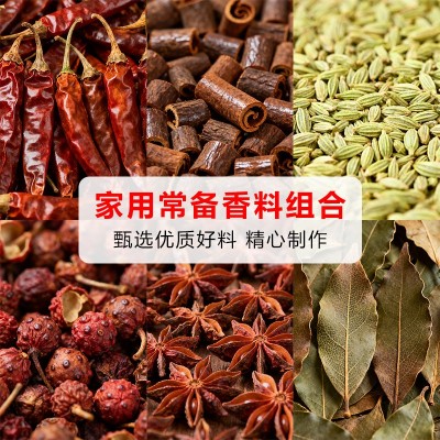 大料香料八角桂皮香叶组合装家用花椒辣椒茴香炖肉料商用调料大全 5瓶图3