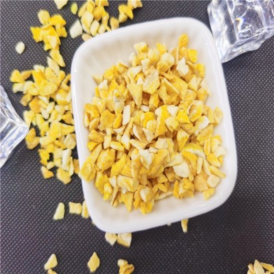 冻干芒果丁 散装水果丁芒果脆粒 烘焙原料芒果粉水果丁碎图2