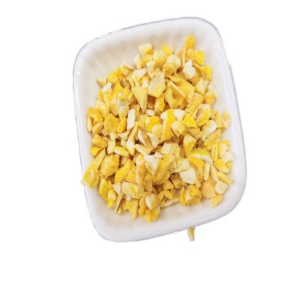 冻干芒果丁 散装水果丁芒果脆粒 烘焙原料芒果粉水果丁碎图4
