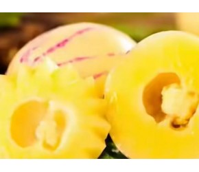 人参果对养颜美容的神助攻有哪些？